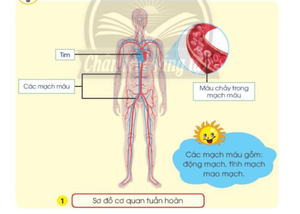 Tài liệu VietJack