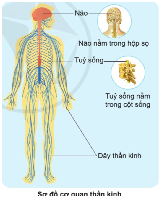 Tài liệu VietJack