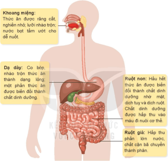 Tài liệu VietJack