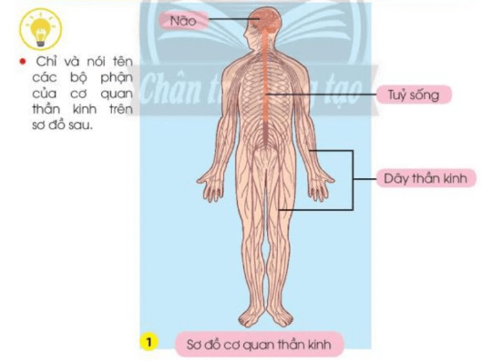 Tài liệu VietJack