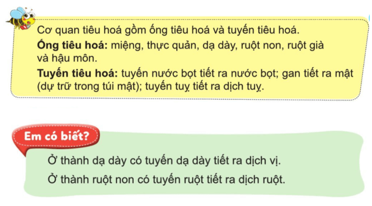 Tài liệu VietJack