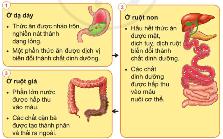 Tài liệu VietJack