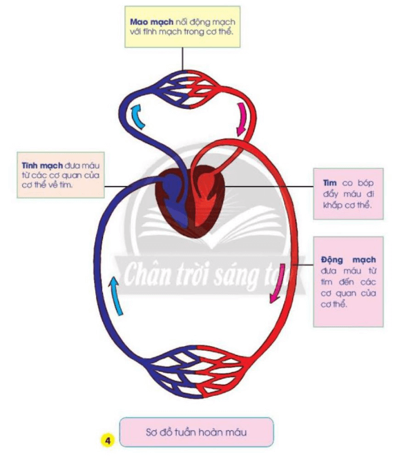 Tài liệu VietJack