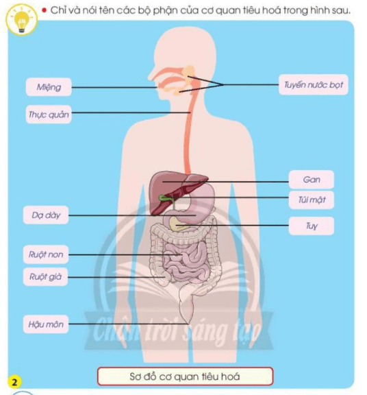 Tài liệu VietJack