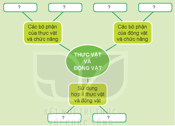 Tài liệu VietJack