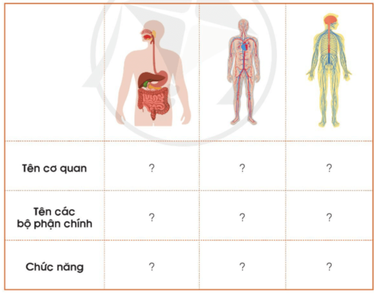 Tài liệu VietJack