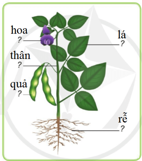 Tài liệu VietJack