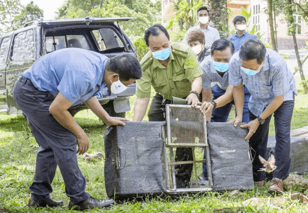 Tài liệu VietJack