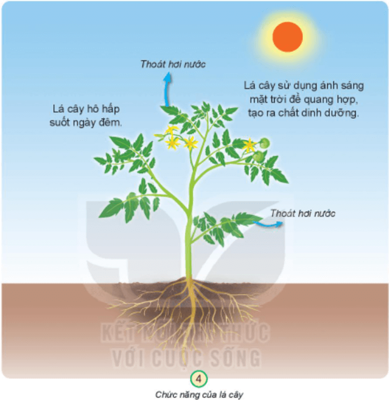 Tài liệu VietJack