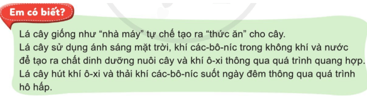 Tài liệu VietJack