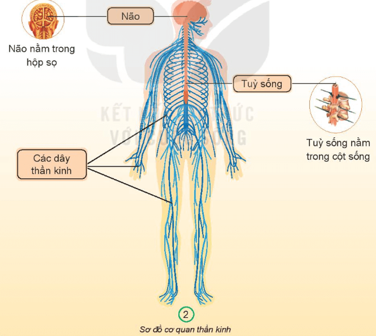 Tài liệu VietJack