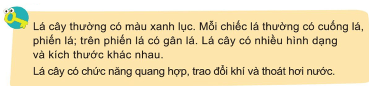 Tài liệu VietJack