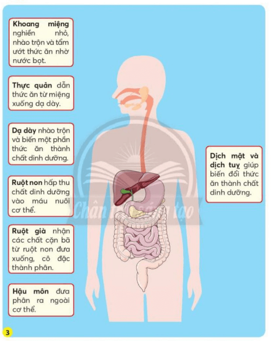 Tài liệu VietJack