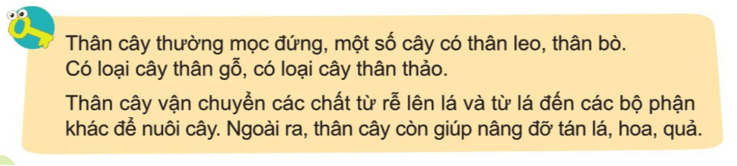 Tài liệu VietJack