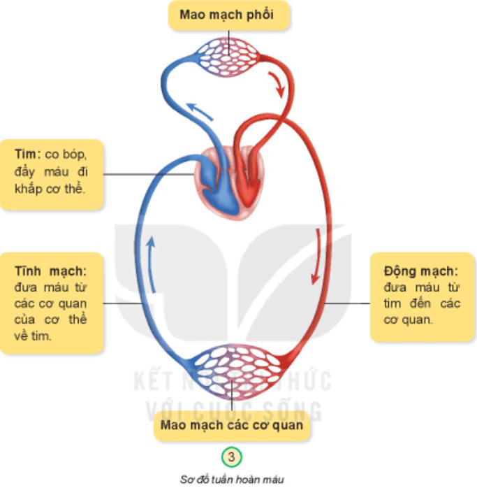 Tài liệu VietJack