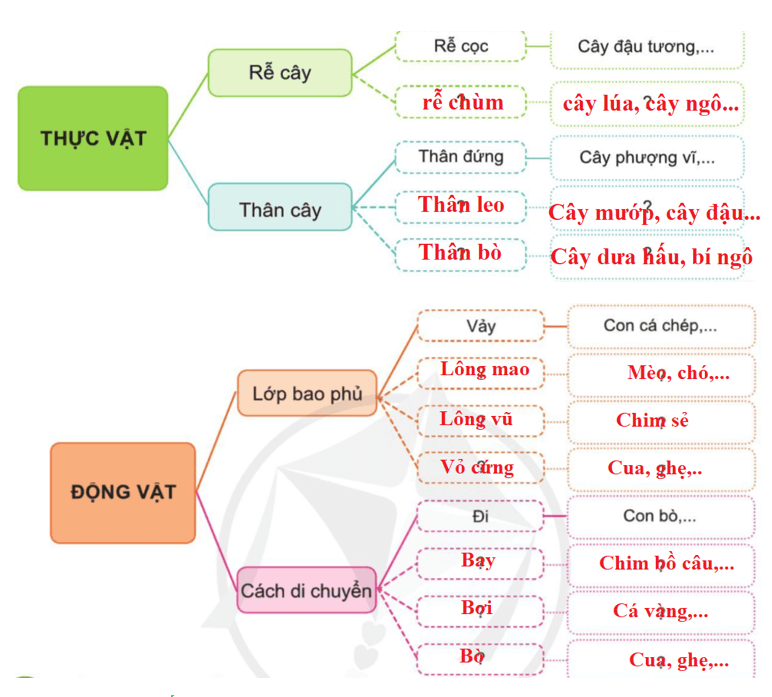 Tài liệu VietJack