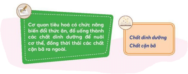 Tài liệu VietJack