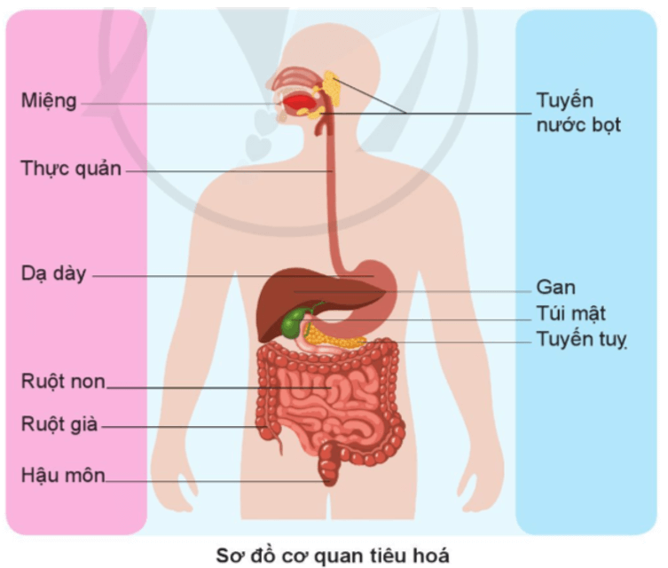 Tài liệu VietJack