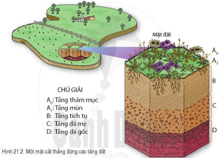 Tài liệu VietJack