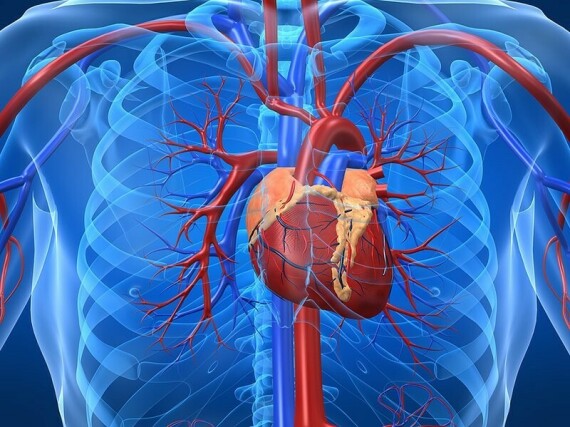 Bluenxy được dùng trong dự phòng nghẽn mạch huyết khối do nhồi máu cơ tim