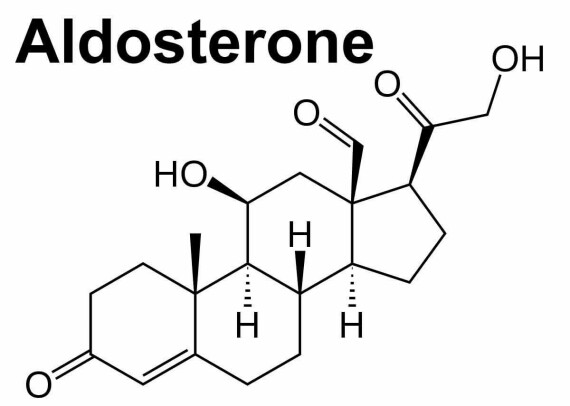 Cấu trúc của aldosterone. Nguồn ảnh: https://www.pinterest.com