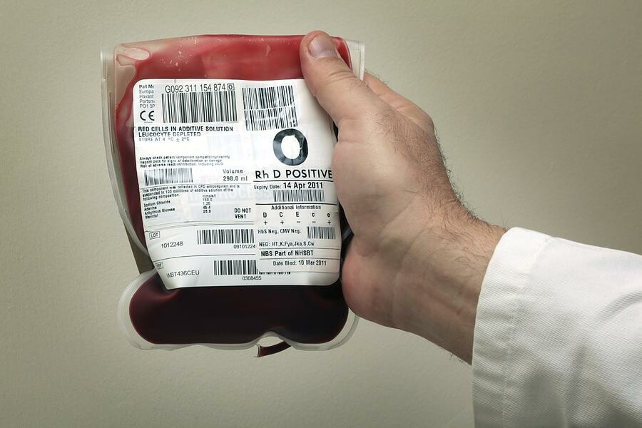 Nguồn cung cấp máu. Nguồn: fineartamerica.com