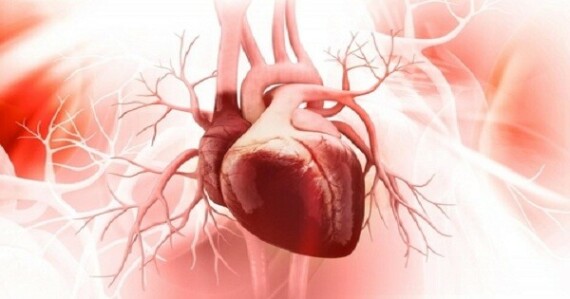 Carvedilol được chỉ định trong những trường hợp suy tim sung huyết