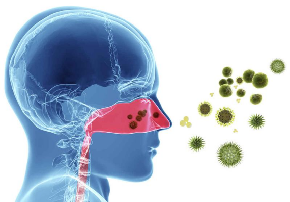 Thuốc Dinpocef 200mg được chỉ định trong nhiễm khuẩn đường hô hấp trên: viêm xoang, viêm tai giữa, viêm họng, viêm amidan, viêm hầu họng.