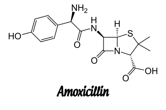Các dạng thuốc uống dùng amoxicillin dạng trihydrat. Thuốc tiêm dùng dạng muối natri của amoxicillin. Hàm lượng thuốc được tính theo amoxicillin khan.