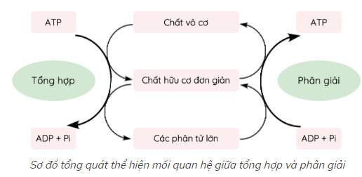 Tài liệu VietJack