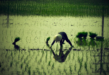 Tài liệu VietJack