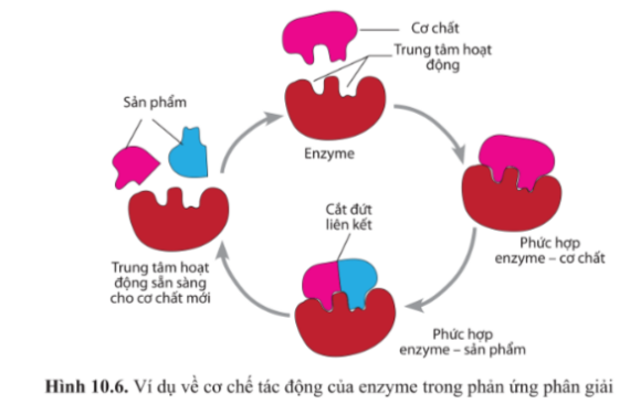 Tài liệu VietJack