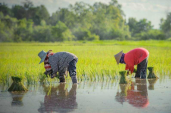 Tài liệu VietJack