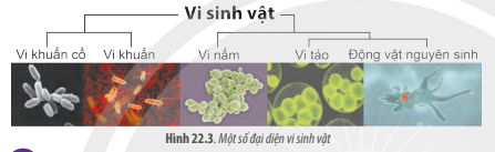 Tài liệu VietJack