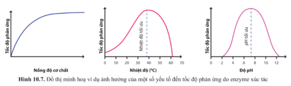 Tài liệu VietJack