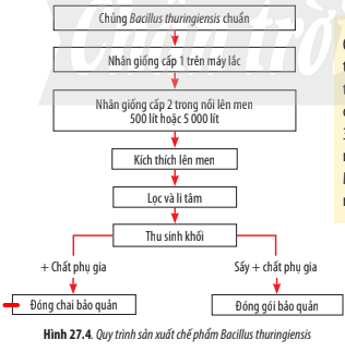 Tài liệu VietJack