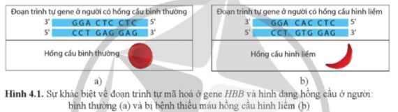 Tài liệu VietJack