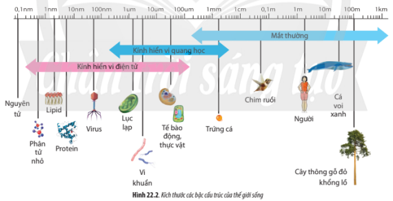 Tài liệu VietJack