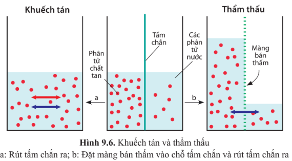 Tài liệu VietJack