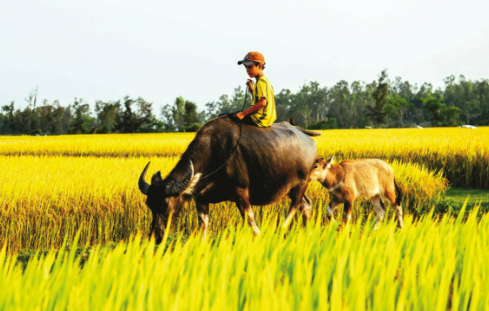 Tài liệu VietJack