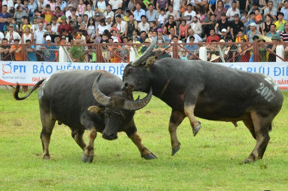 Tài liệu VietJack