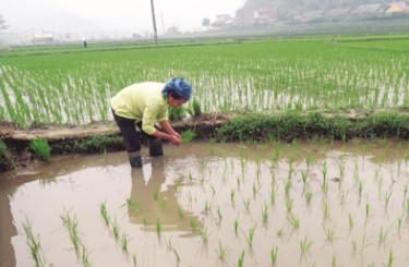 Tài liệu VietJack