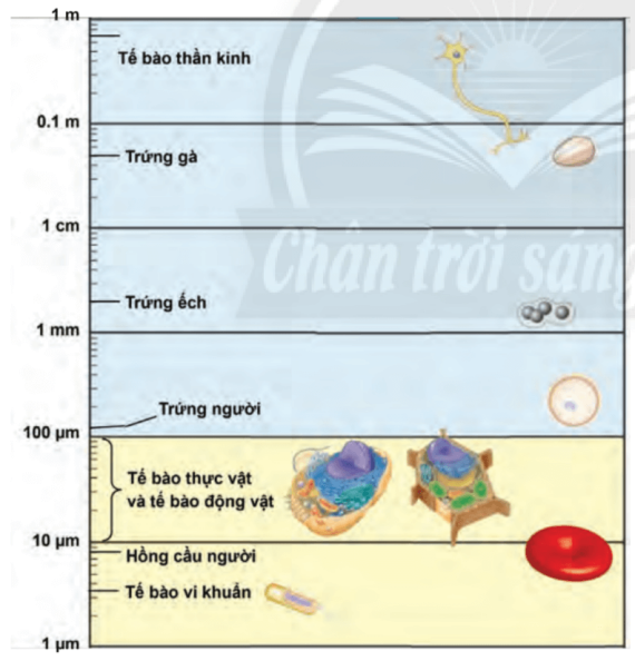 Tài liệu VietJack