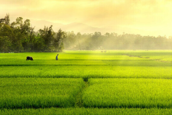 Tài liệu VietJack